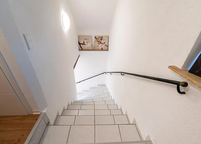 Monteurswohnung N8quartier * Drezda