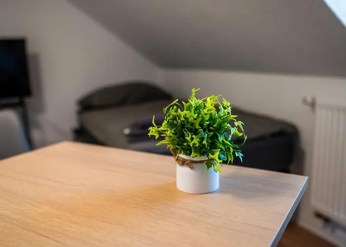 Monteurswohnung N8quartier *