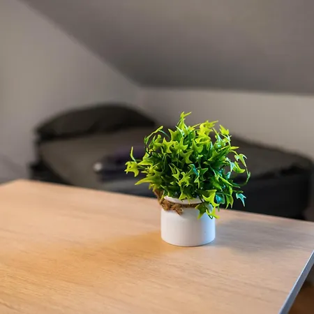 Monteurswohnung N8quartier *